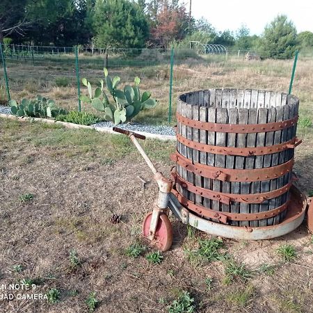 Vacances Canal Du Midi Ouveillan Екстер'єр фото